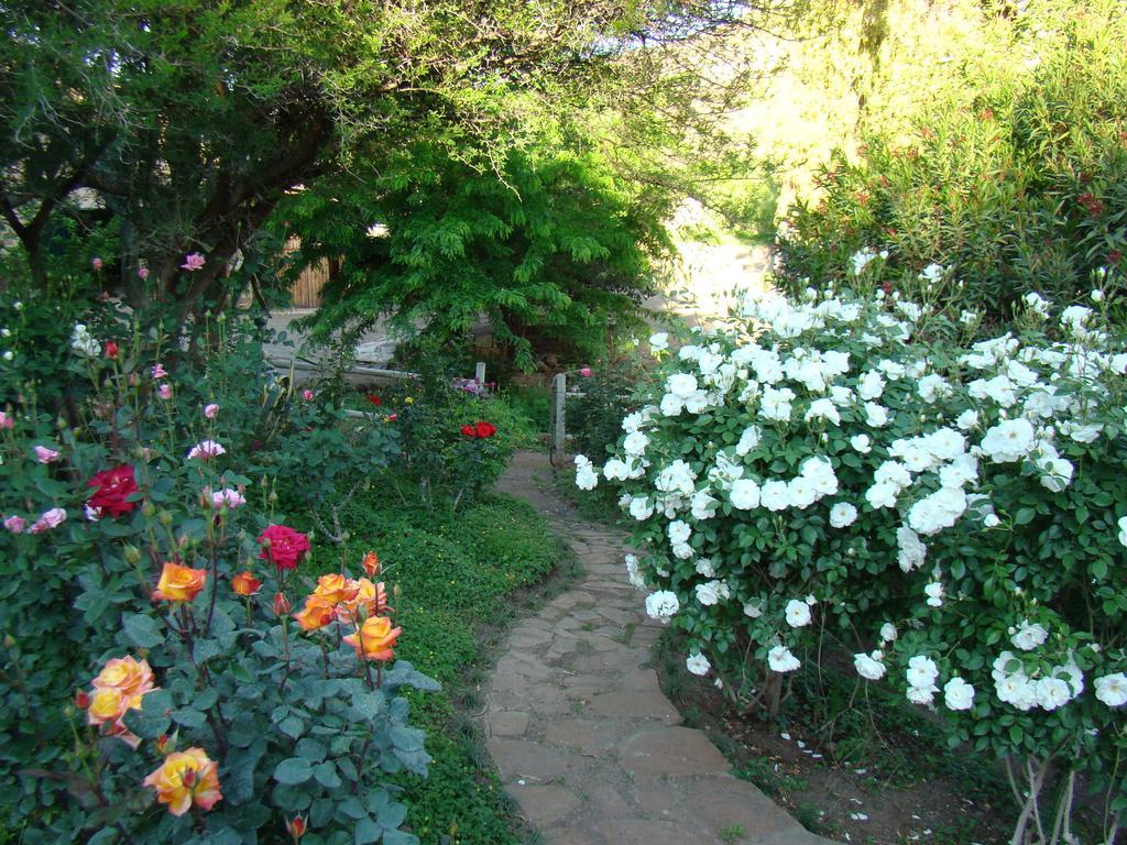 Waterval Farmstay Graaff-Reinet Zewnętrze zdjęcie